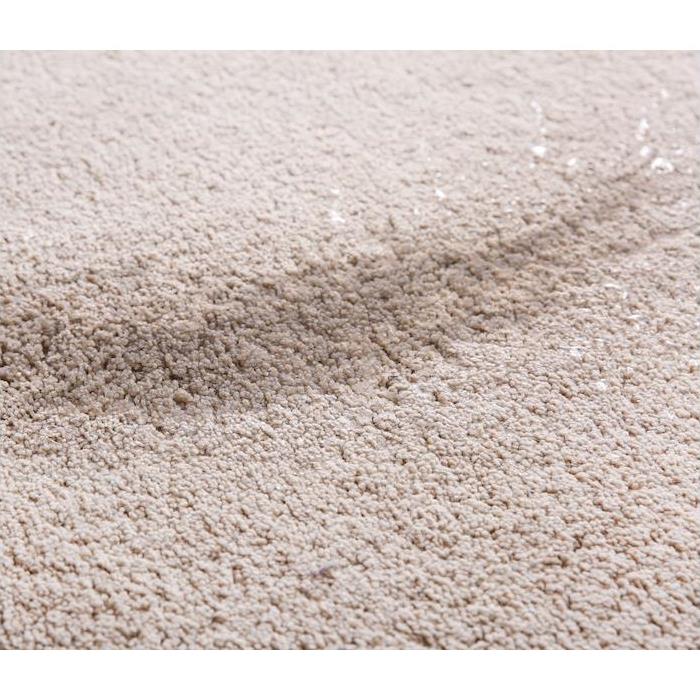 carpet with wet spots